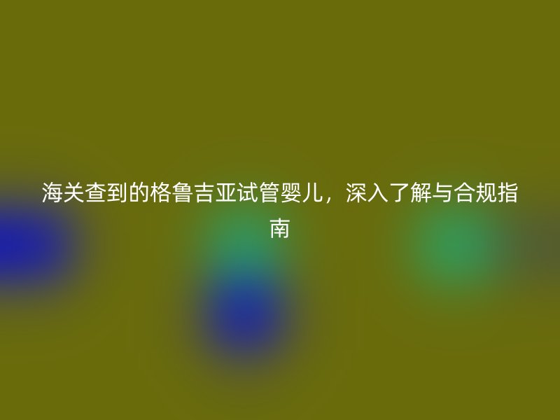 海关查到的格鲁吉亚试管婴儿，深入了解与合规指南