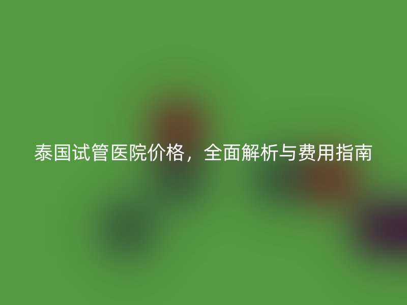 泰国试管医院价格，全面解析与费用指南