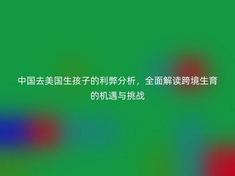 中国去美国生孩子的利弊分析，全面解读跨境生育的机遇与挑战