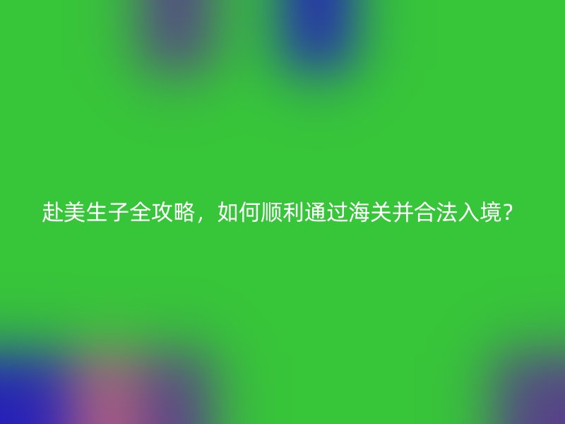 赴美生子全攻略，如何顺利通过海关并合法入境？