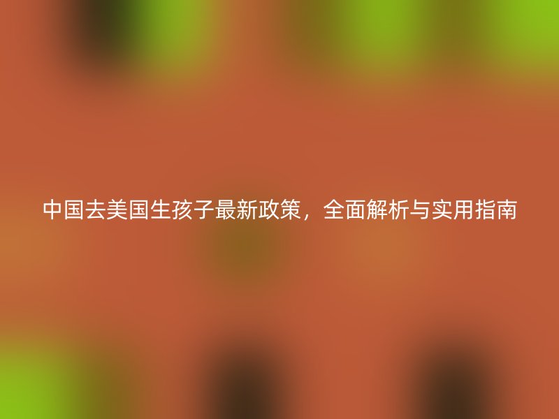 中国去美国生孩子最新政策，全面解析与实用指南