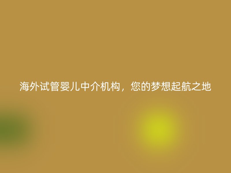 海外试管婴儿中介机构，您的梦想起航之地