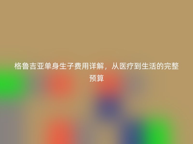 格鲁吉亚单身生子费用详解，从医疗到生活的完整预算