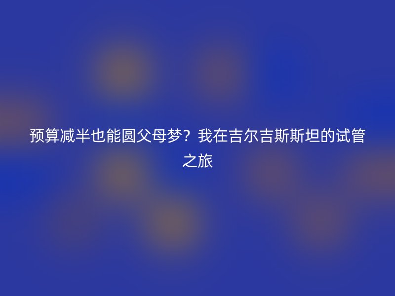 預算減半也能圓父母夢？我在吉爾吉斯斯坦的試管之旅