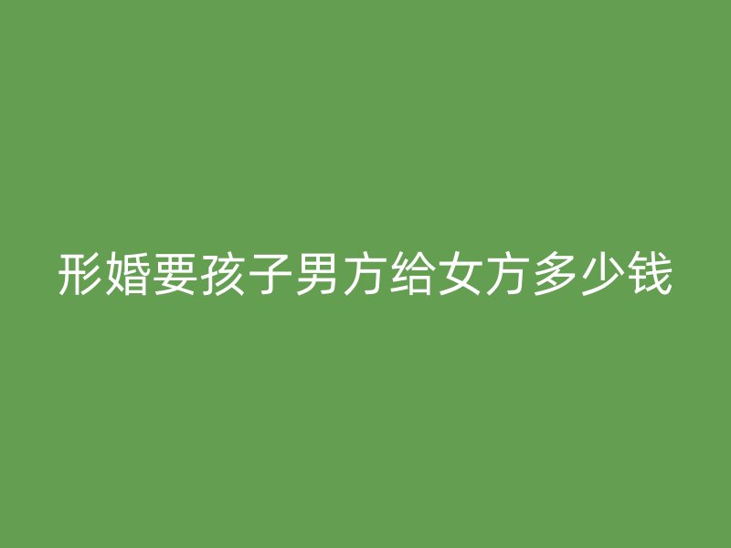形婚要孩子男方给女方多少钱