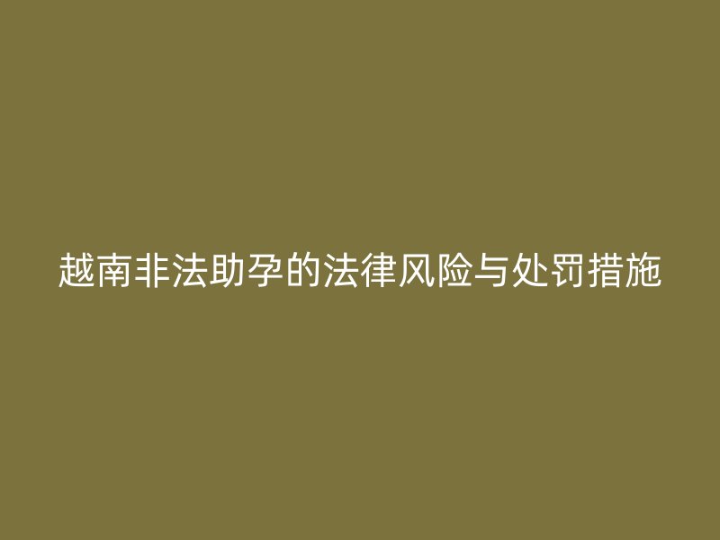 越南非法助孕的法律风险与处罚措施
