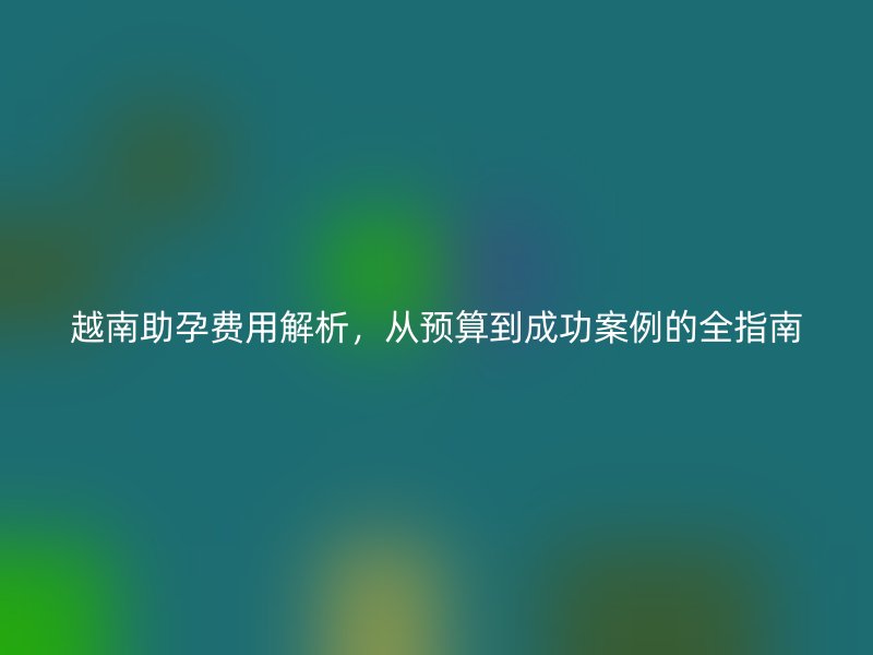 越南助孕费用解析，从预算到成功案例的全指南