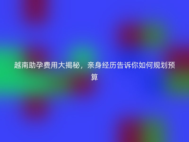 越南助孕费用大揭秘，亲身经历告诉你如何规划预算