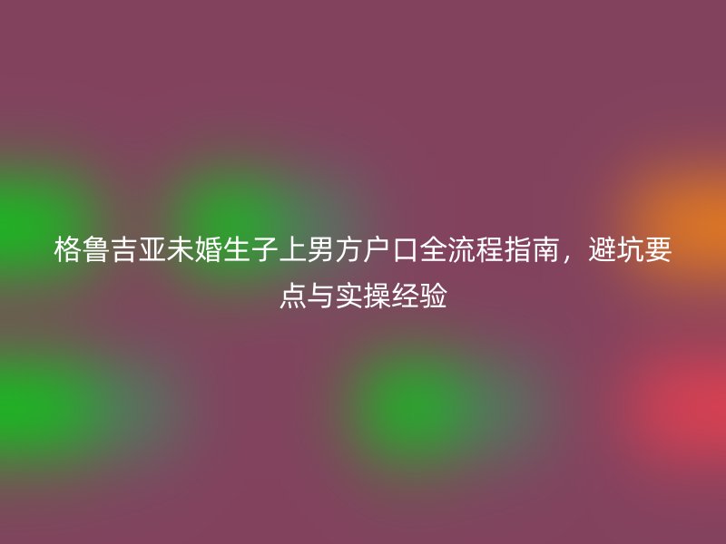 格鲁吉亚未婚生子上男方户口全流程指南，避坑要点与实操经验