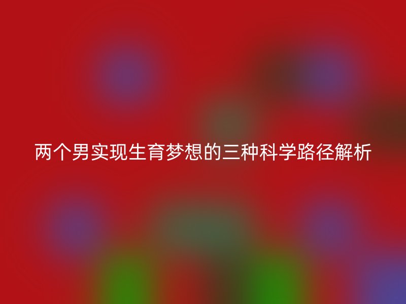 两个男实现生育梦想的三种科学路径解析