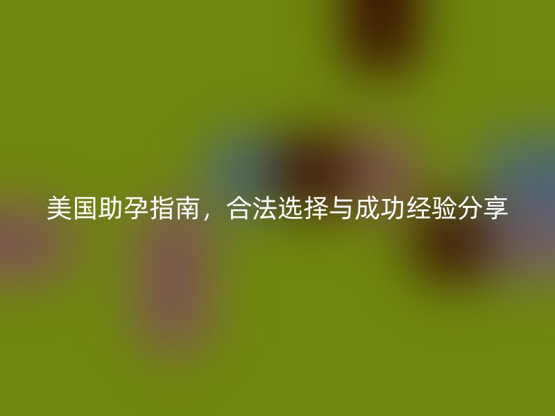 美国助孕指南，合法选择与成功经验分享