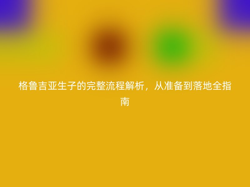 格鲁吉亚生子的完整流程解析，从准备到落地全指南