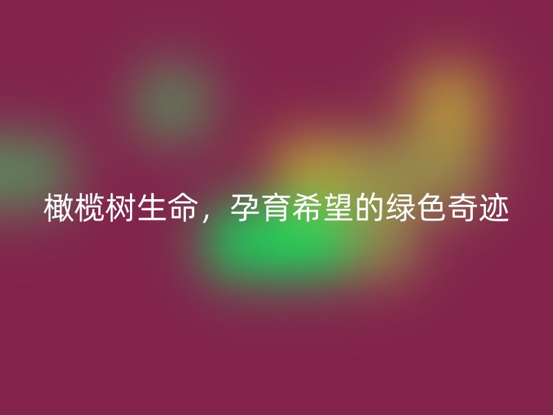 橄榄树生命，孕育希望的绿色奇迹