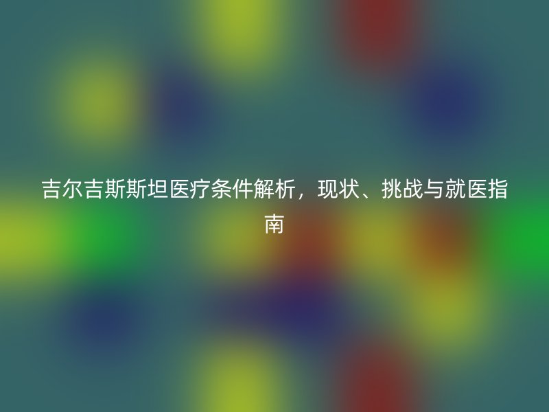 吉尔吉斯斯坦医疗条件解析，现状、挑战与就医指南