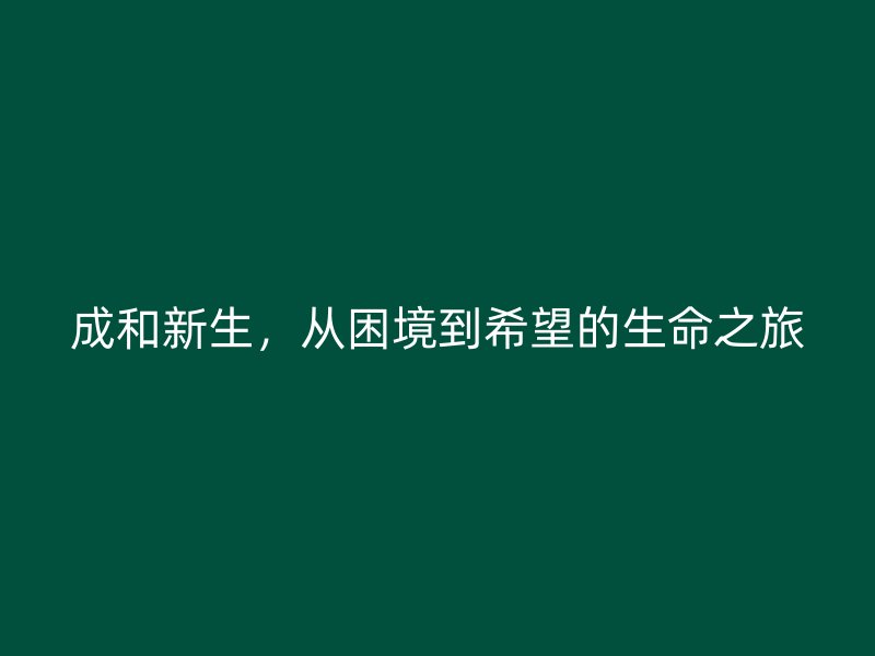 成和新生，从困境到希望的生命之旅