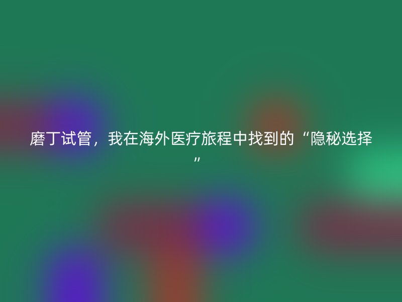 磨丁试管，我在海外医疗旅程中找到的“隐秘选择”