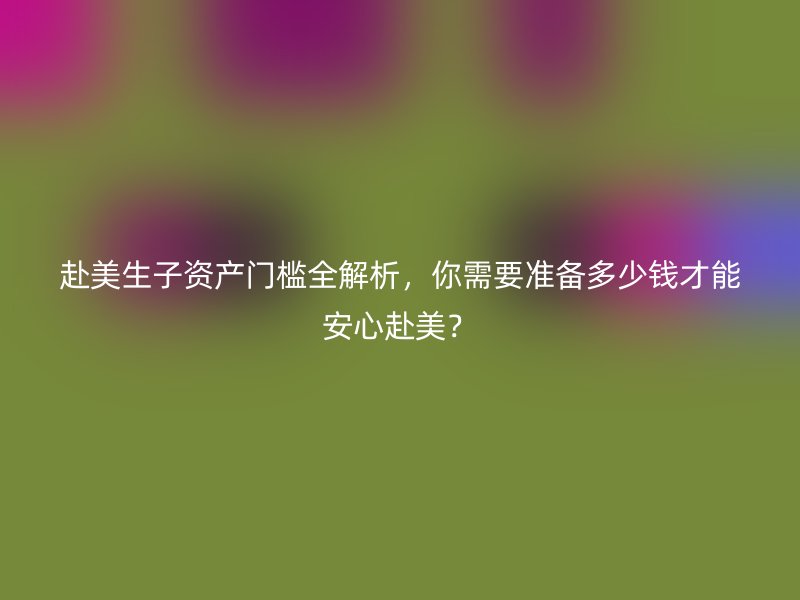 赴美生子资产门槛全解析，你需要准备多少钱才能安心赴美？