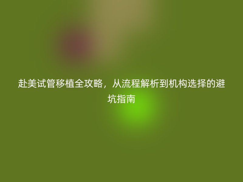 赴美试管移植全攻略，从流程解析到机构选择的避坑指南