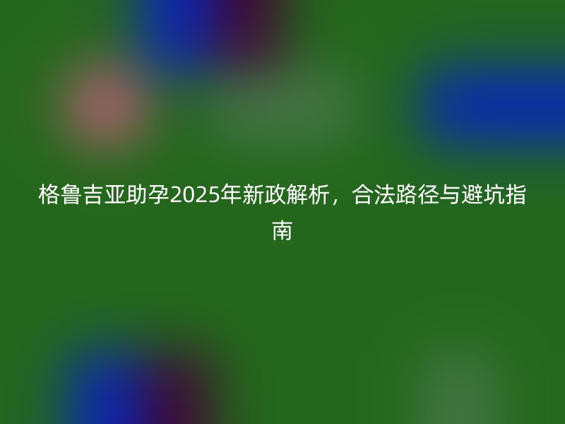 格鲁吉亚助孕2025年新政解析，合法路径与避坑指南