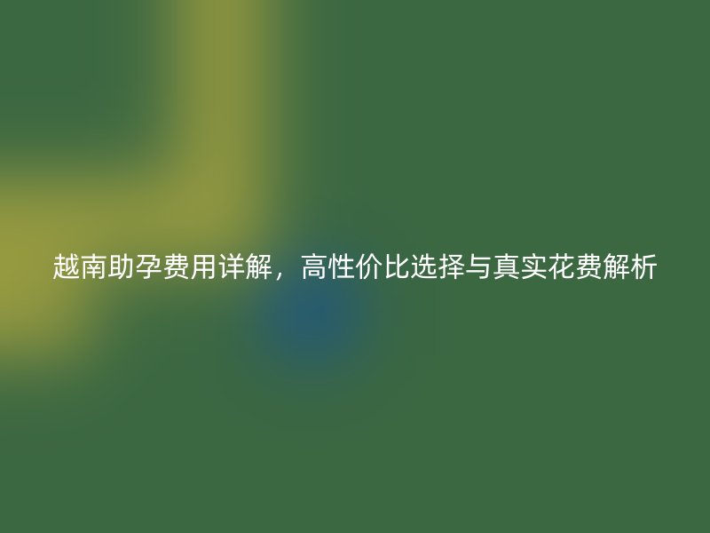 越南助孕费用详解，高性价比选择与真实花费解析