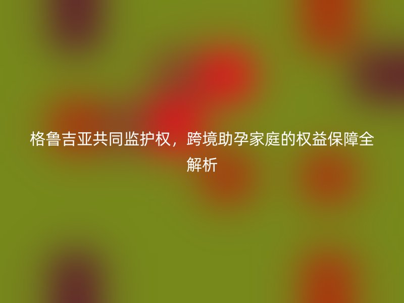 格鲁吉亚共同监护权，跨境助孕家庭的权益保障全解析