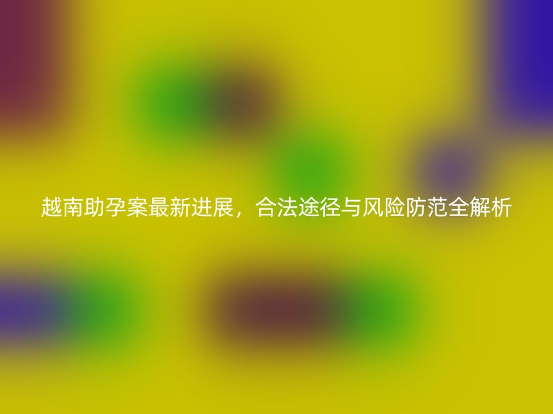 越南助孕案最新进展，合法途径与风险防范全解析