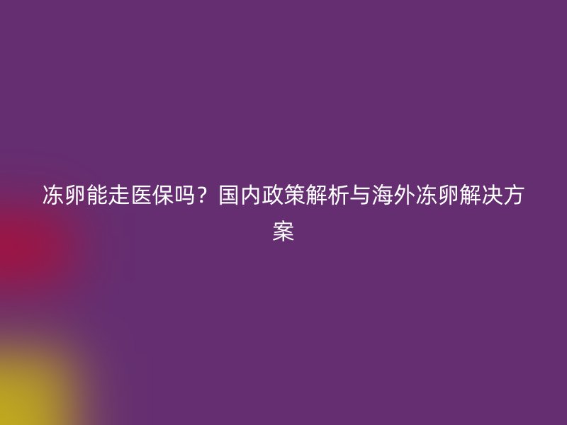 冻卵能走医保吗？国内政策解析与海外冻卵解决方案