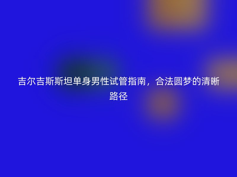 吉尔吉斯斯坦单身男性试管指南，合法圆梦的清晰路径