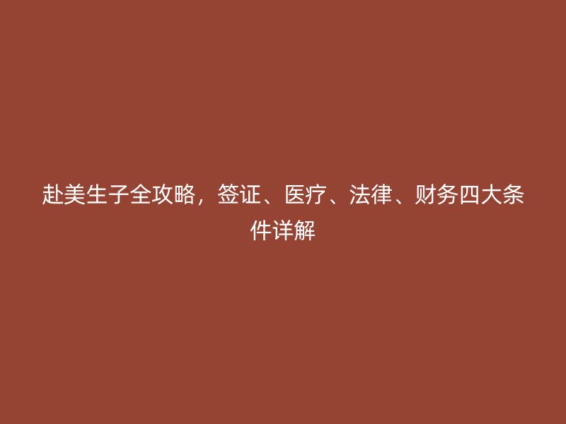 赴美生子全攻略，签证、医疗、法律、财务四大条件详解