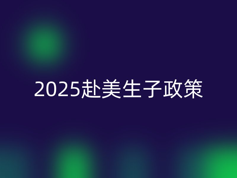 2025赴美生子政策