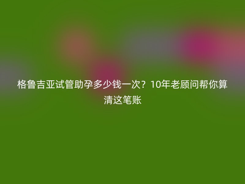 格鲁吉亚试管助孕多少钱一次？10年老顾问帮你算清这笔账