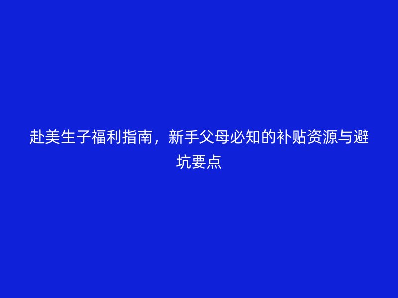 赴美生子福利指南，新手父母必知的补贴资源与避坑要点