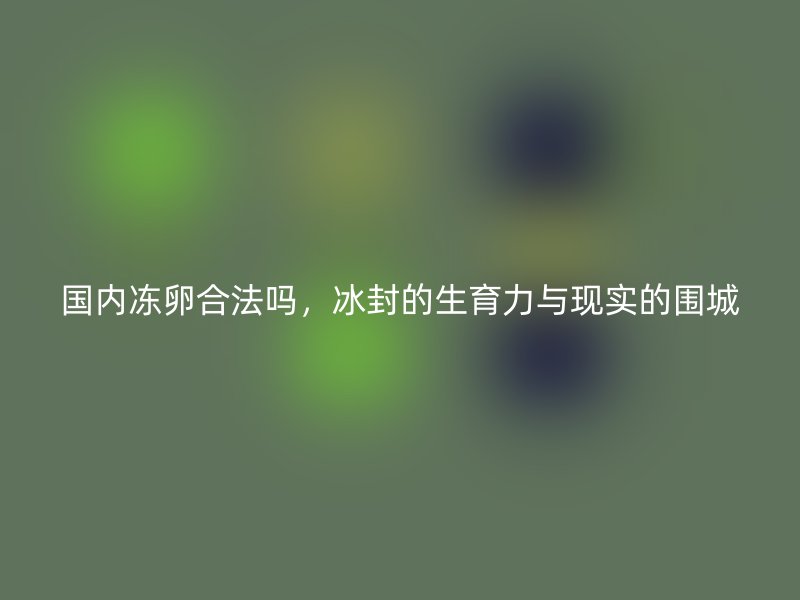 国内冻卵合法吗，冰封的生育力与现实的围城
