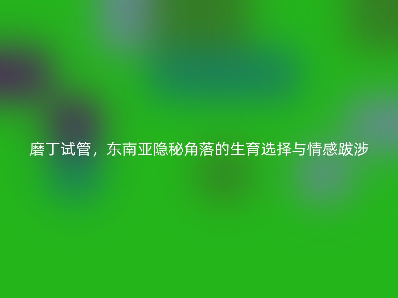 磨丁试管，东南亚隐秘角落的生育选择与情感跋涉