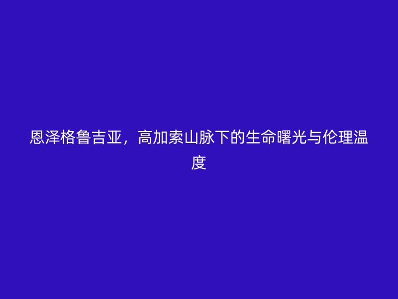 恩泽格鲁吉亚，高加索山脉下的生命曙光与伦理温度