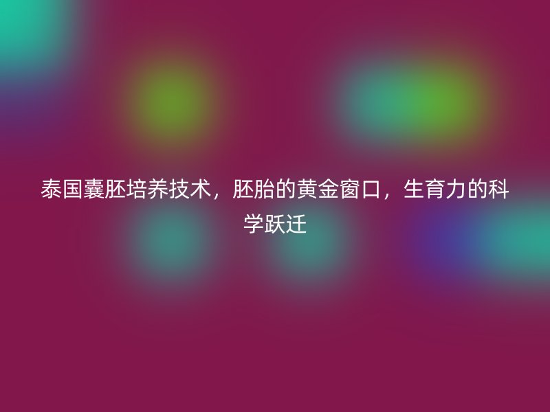 泰国囊胚培养技术，胚胎的黄金窗口，生育力的科学跃迁