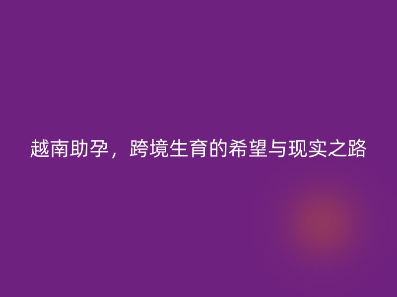 越南助孕，跨境生育的希望与现实之路