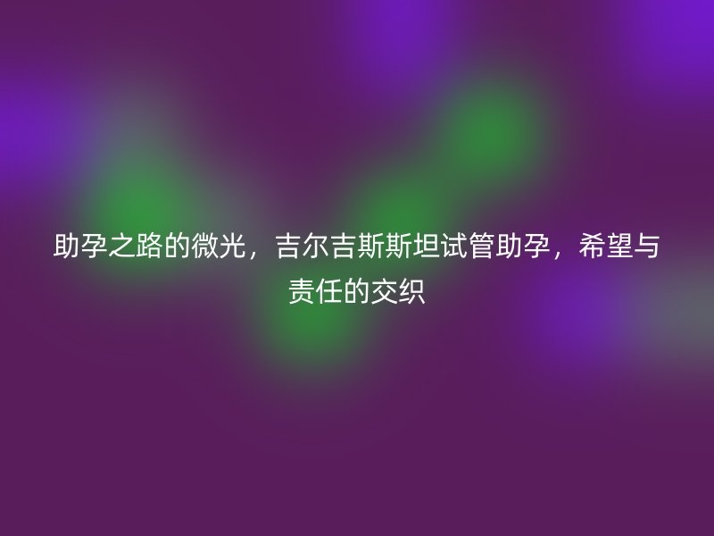 助孕之路的微光，吉尔吉斯斯坦试管助孕，希望与责任的交织