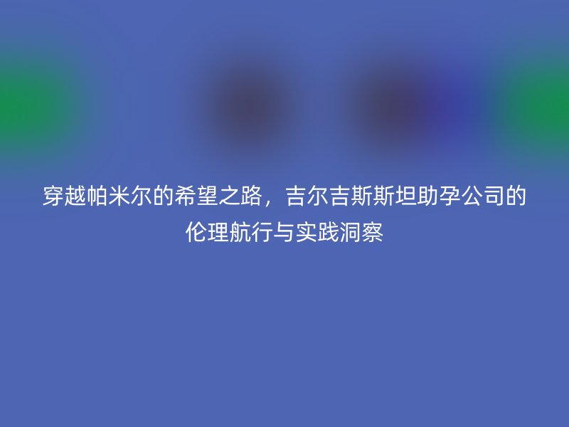 穿越帕米尔的希望之路，吉尔吉斯斯坦助孕公司的伦理航行与实践洞察