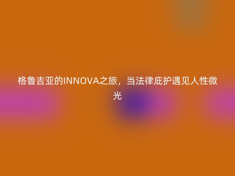 格鲁吉亚的INNOVA之旅，当法律庇护遇见人性微光