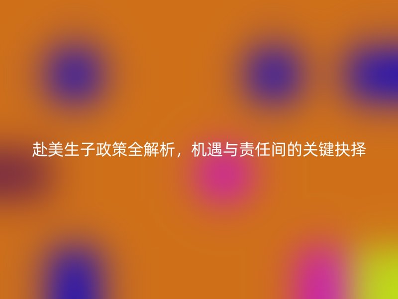 赴美生子政策全解析，机遇与责任间的关键抉择