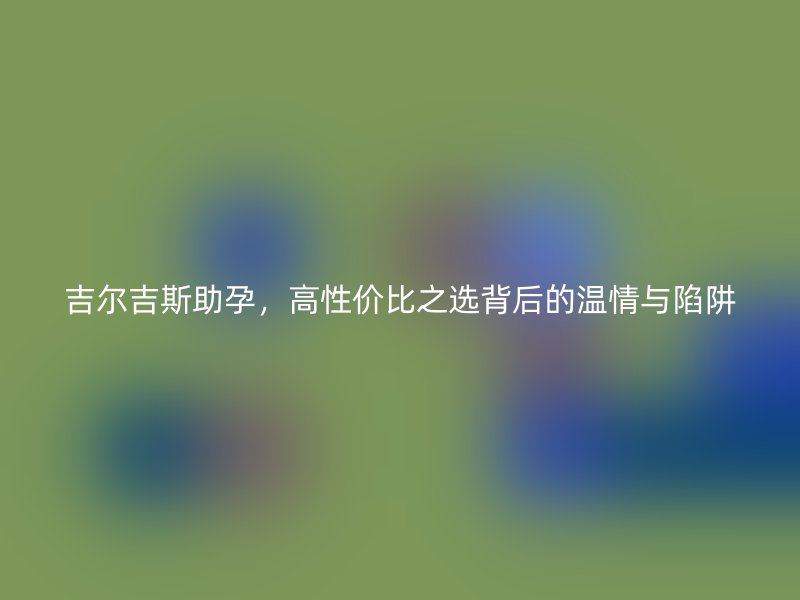 吉尔吉斯助孕，高性价比之选背后的温情与陷阱