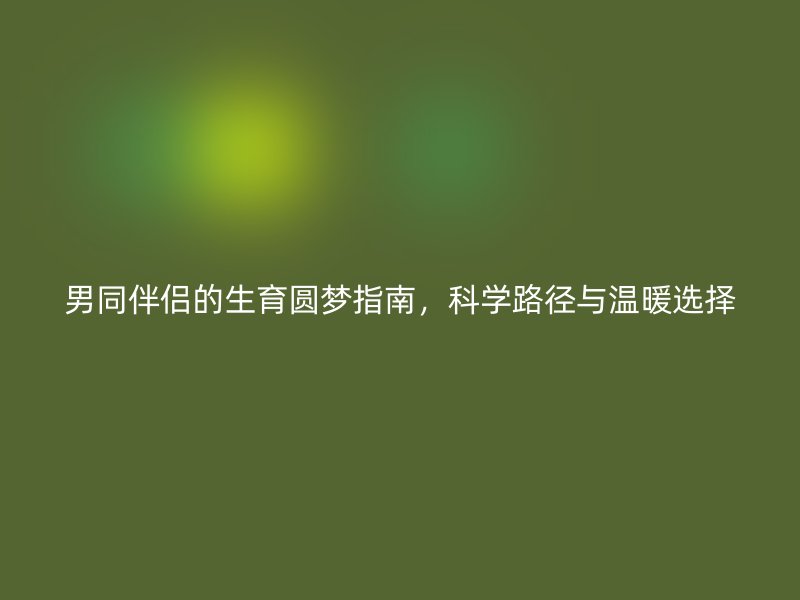 男同伴侣的生育圆梦指南，科学路径与温暖选择