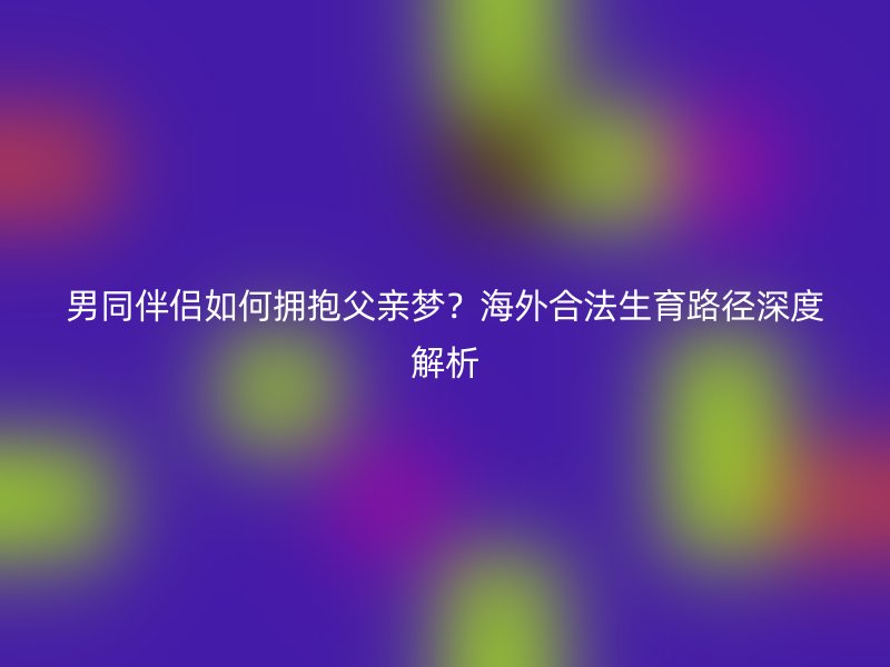 男同伴侣如何拥抱父亲梦？海外合法生育路径深度解析