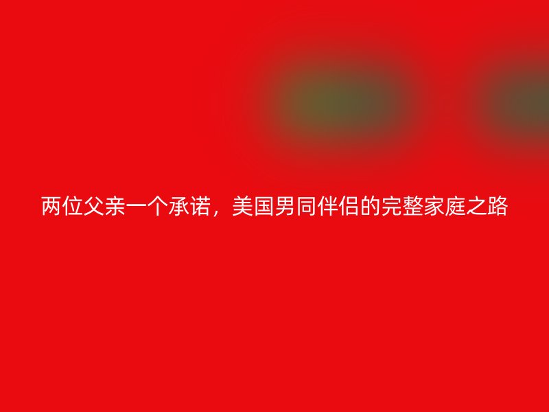 两位父亲一个承诺，美国男同伴侣的完整家庭之路